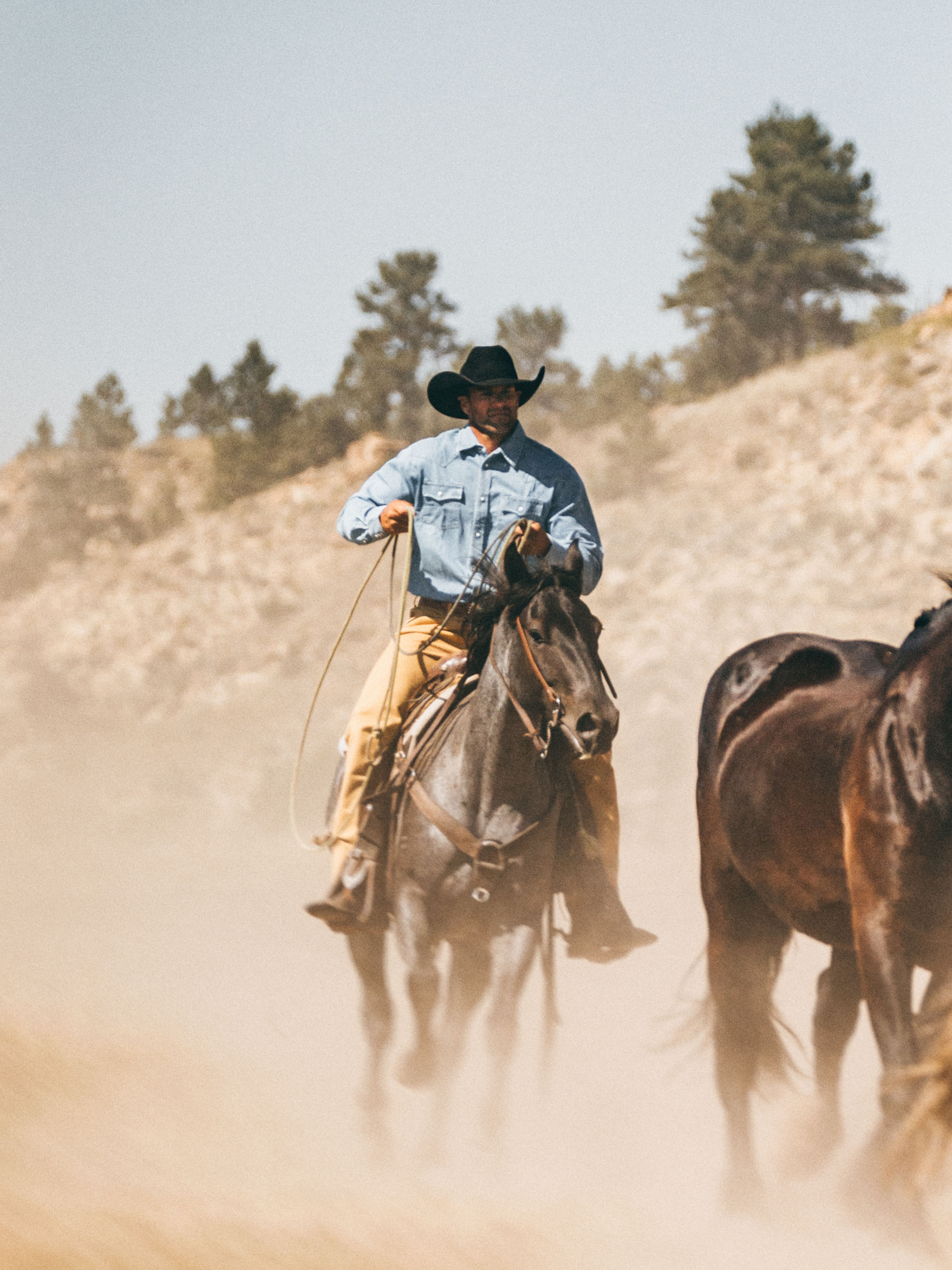 Brushcloth Ranch Hand Dungaree